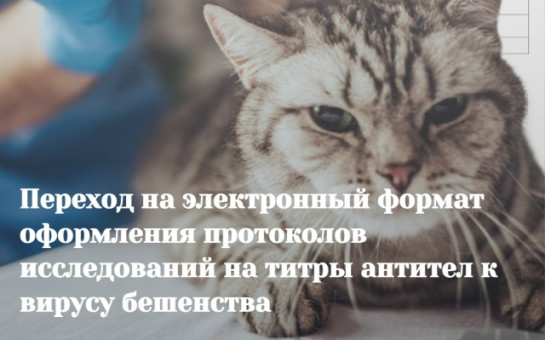 Электронные протоколы на титры антител к вирусу бешенства 